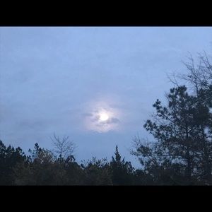 Meet your Posher, Seina